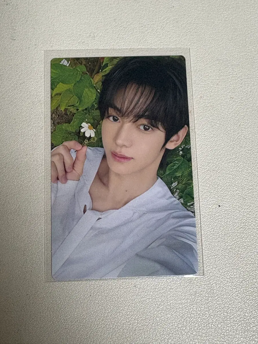 투어스 한진 하지메마시테 다시 만난 오늘 리미티드 에디션 B