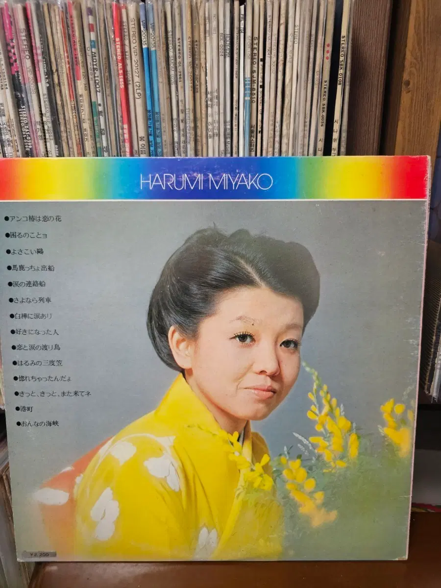 야코 하루미 LP