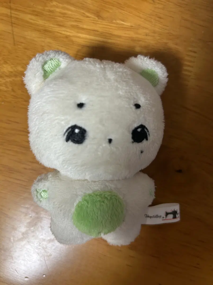 루시 신광일 곰팡이 판매합니다