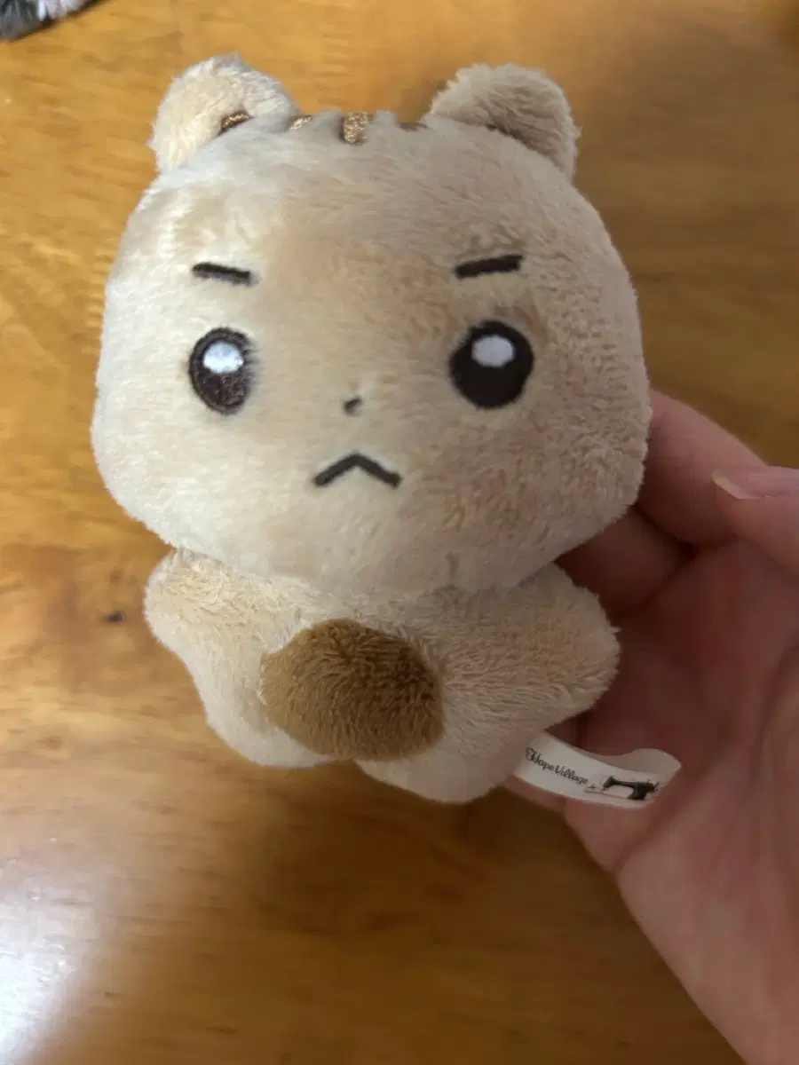 루시 최상엽 엽톨이