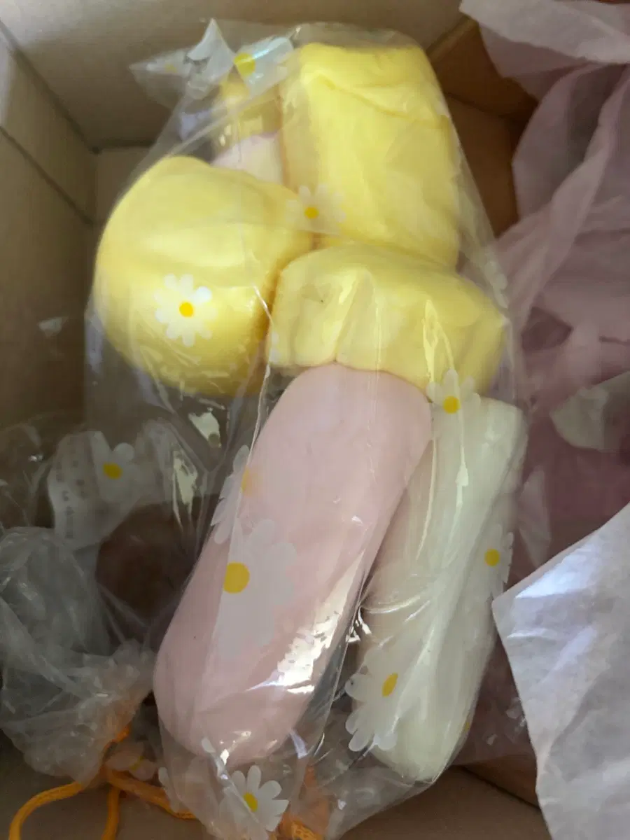 스퀴시