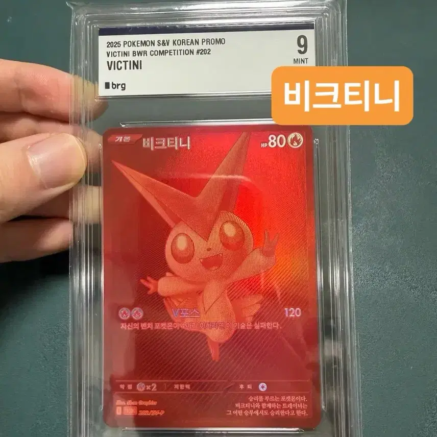 포켓몬 BWR 비크티니 카드 BRG9 사진 1