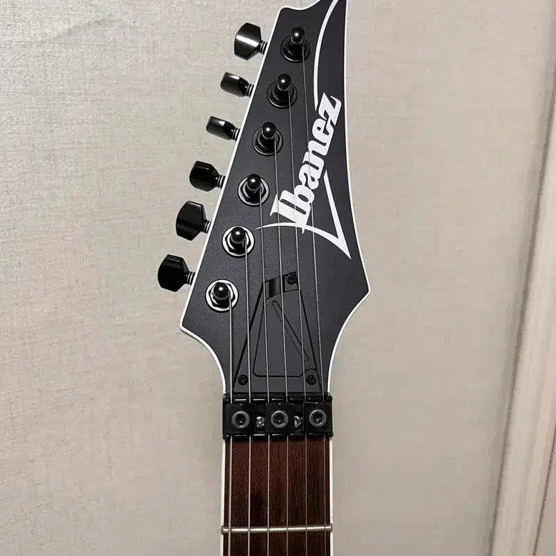 아이바네즈 rg420ex 판/교