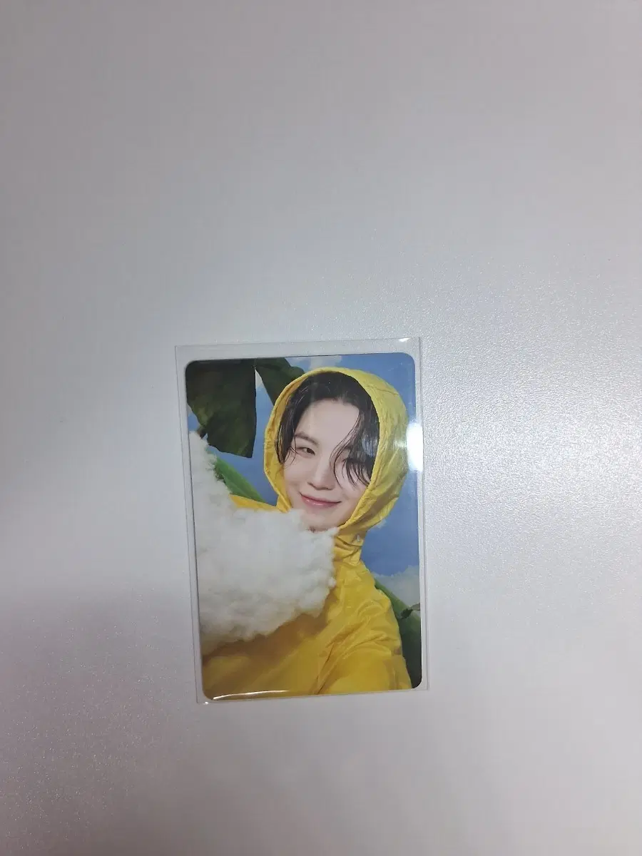 세븐틴 우지 헤븐 캐럿반 앨포