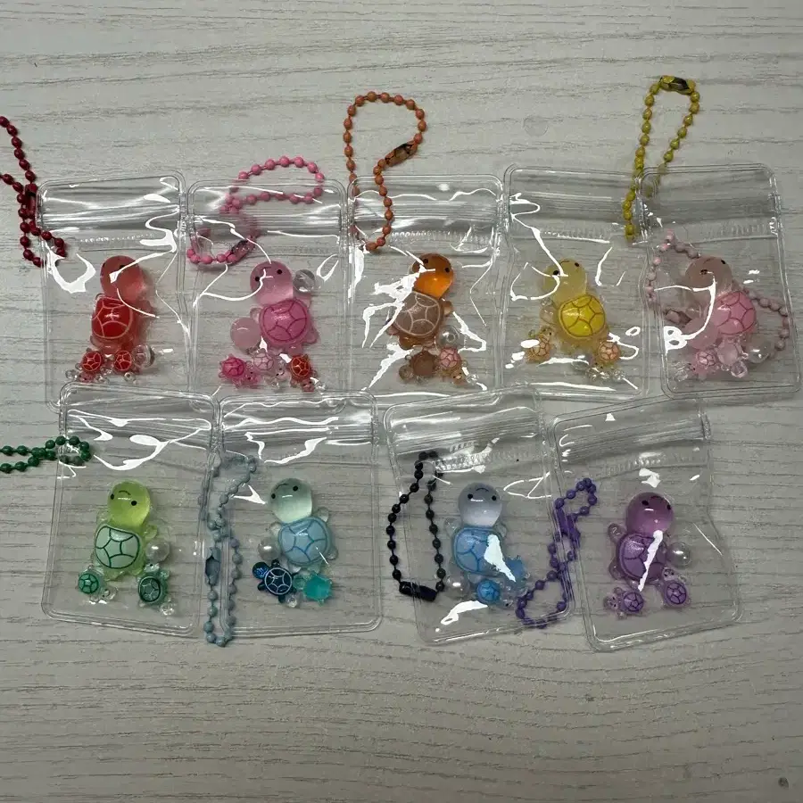 해운거북이 (3+1)