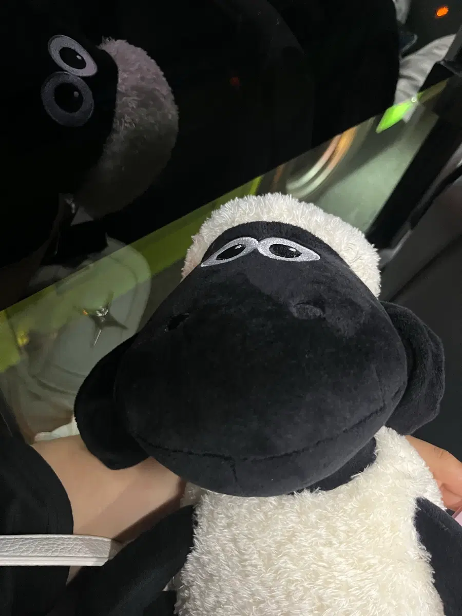 숀더쉽 인형 백팩