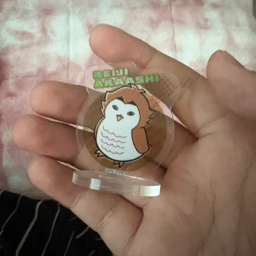 아카아시 케이지 아크릴 판매