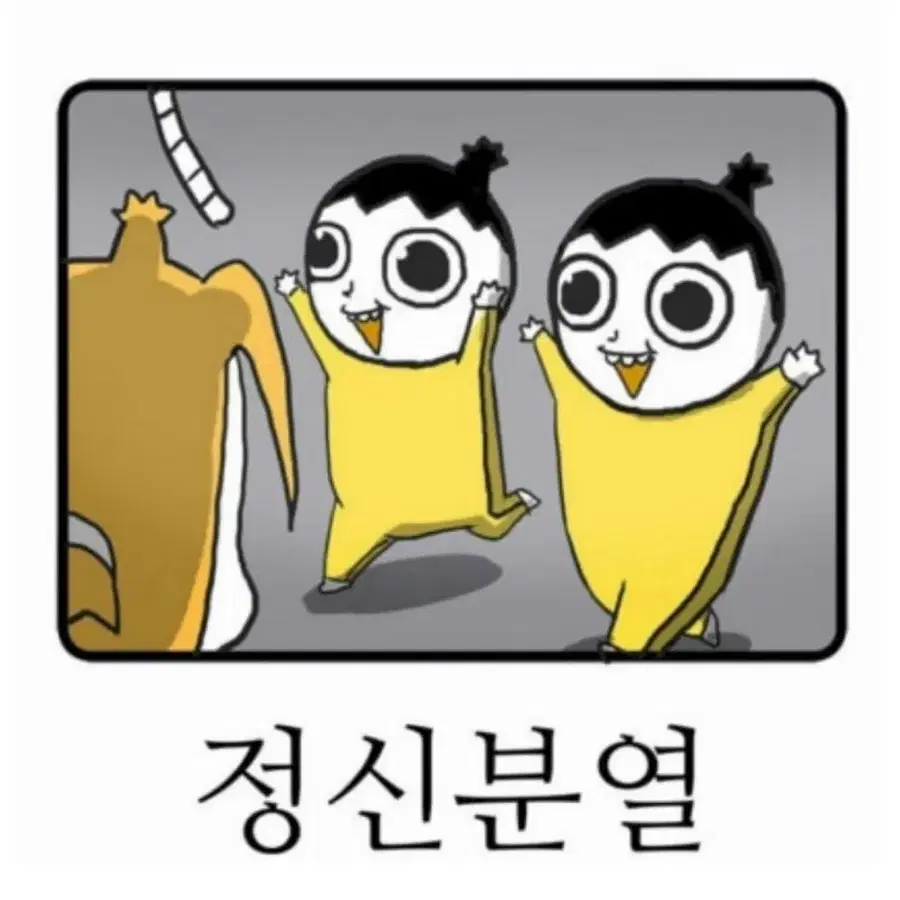 코르티스포카 싸게삼