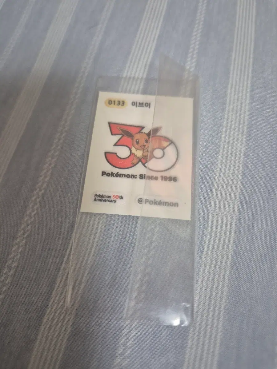 이브이30주년띠브실