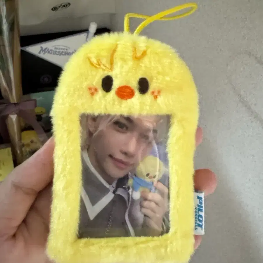 파일럿 뽁아리