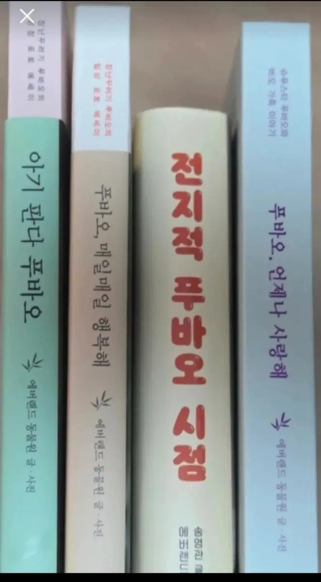푸바오 에세이 4종 세트