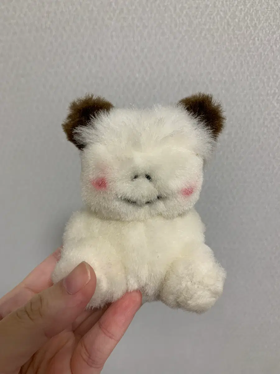 스판쿠 고전인형 빈티지인형 산리오 산엑스