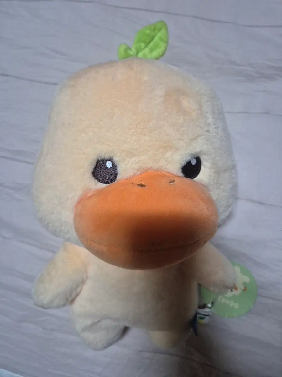 오리 인형 땡고 (새상품)