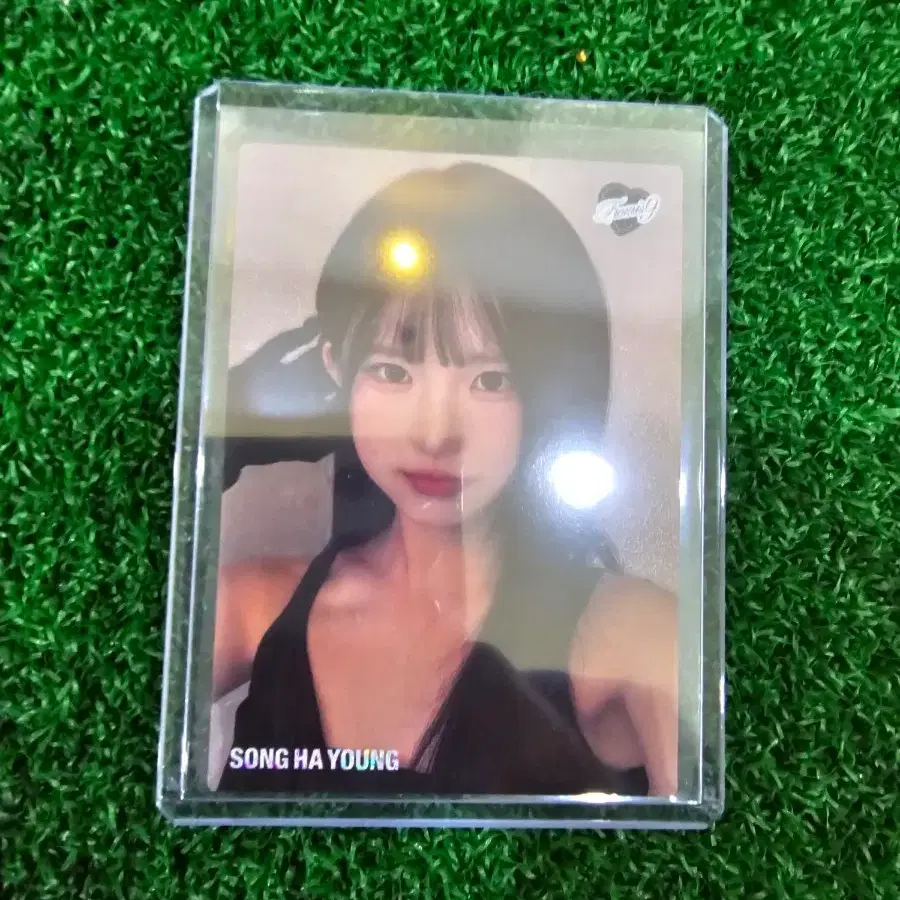 테레카 송하영 셀피 99한정
