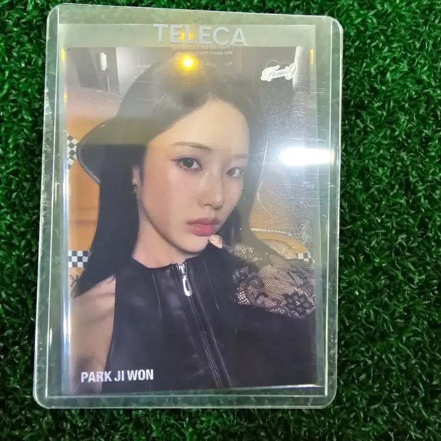 테레카 박지원 셀피 99한정