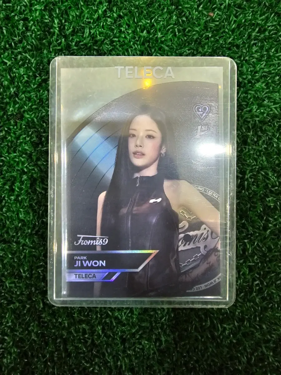 테레카 박지원 sp