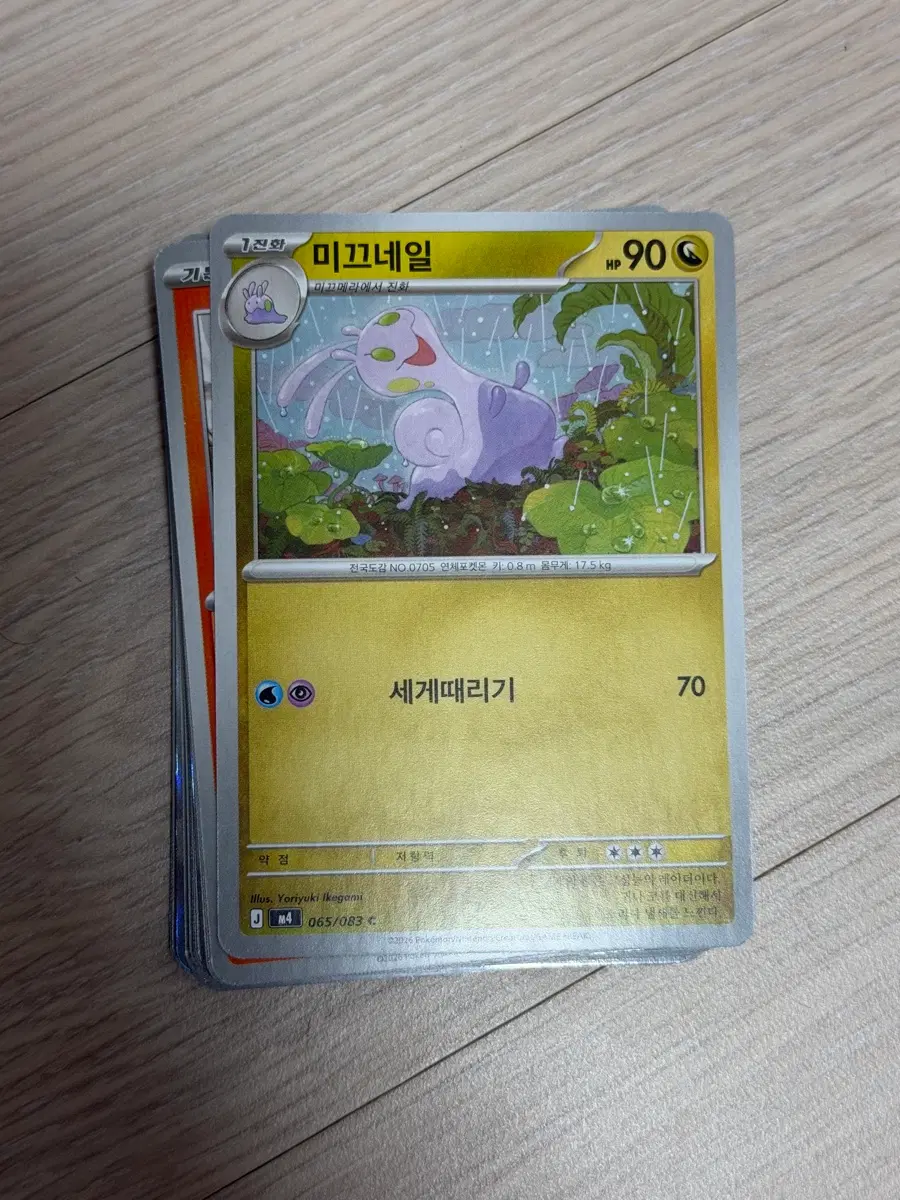 포켓몬 일카 30장
