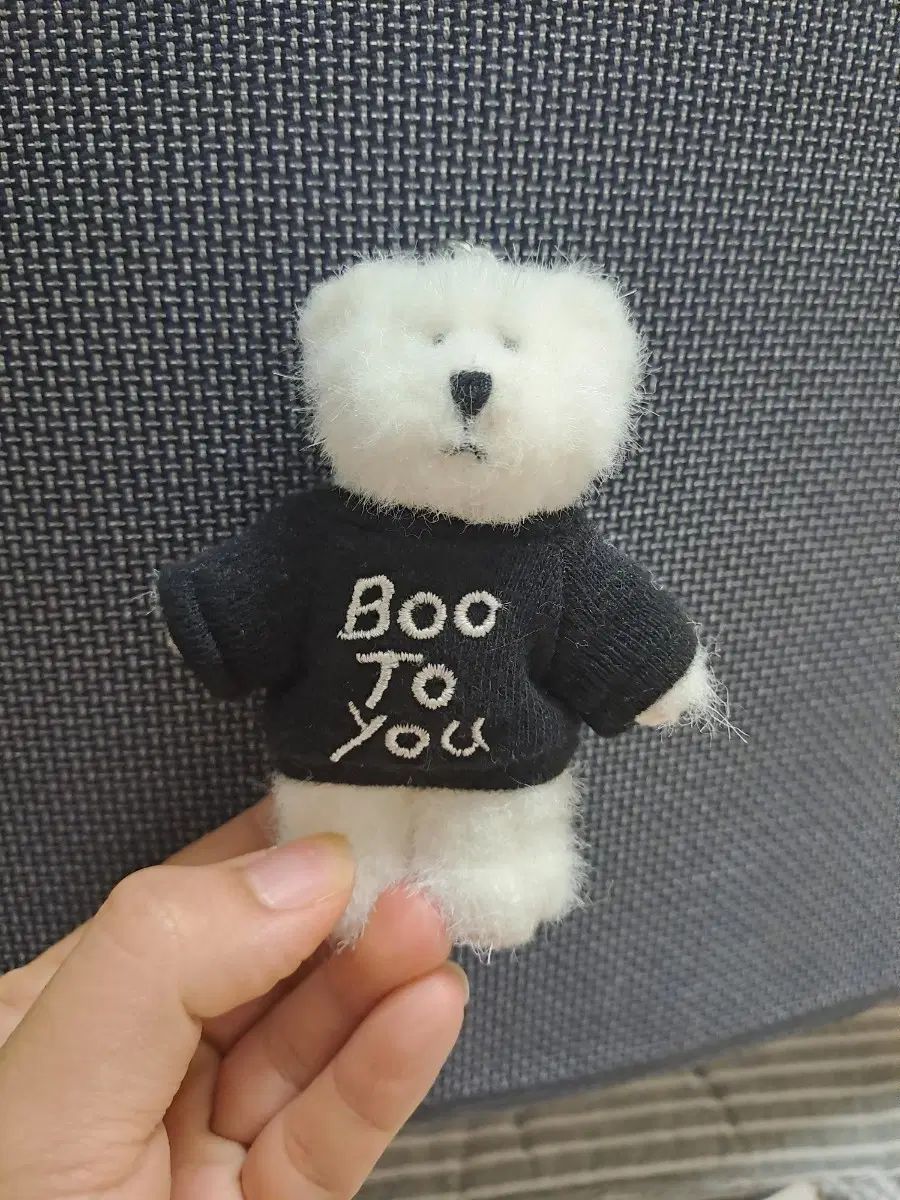 보이즈베어 블랙이