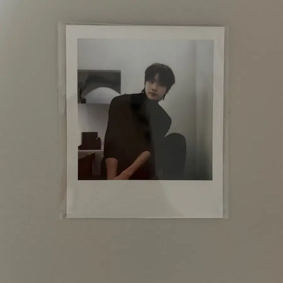 라이즈 성찬 2025 시그 랜덤 폴라
