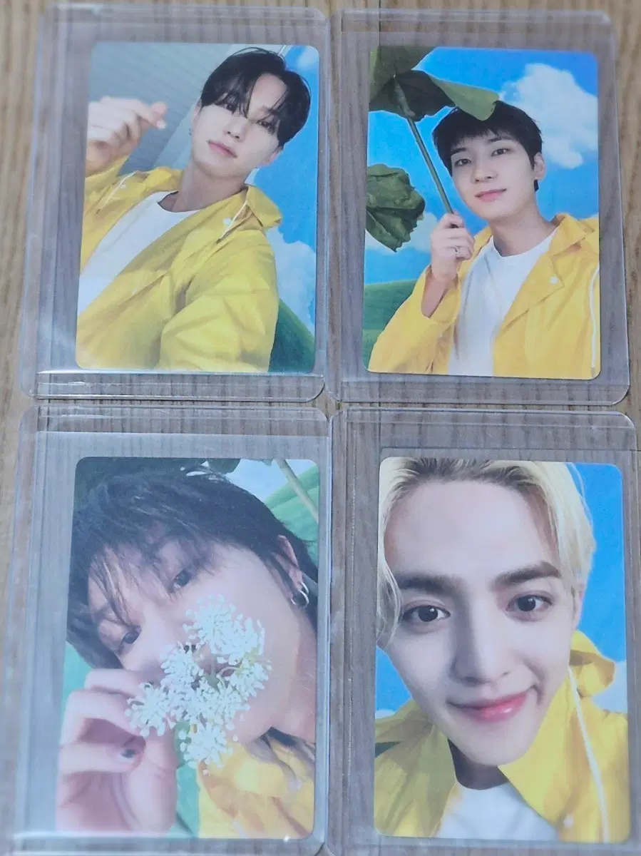 세븐틴 포카 캐럿반 판매