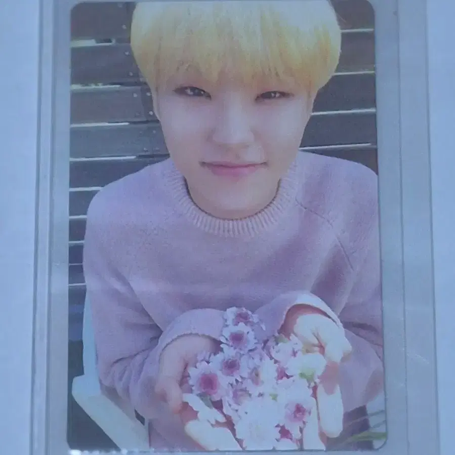 세븐틴 호시 포카 판매