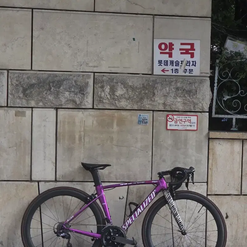 스페셜라이즈드 알레 스프린트 지브라 에디션 판매 대차
