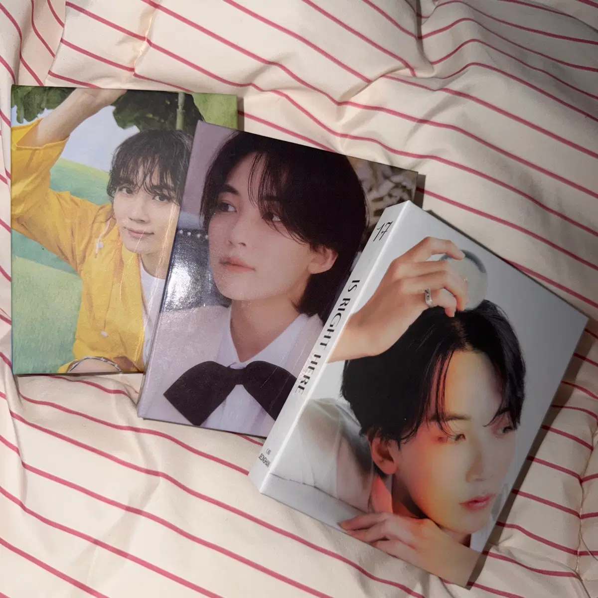 세븐틴 정한 캐럿반 3종 바인더 포카 북클릿 fml 헤븐 디어