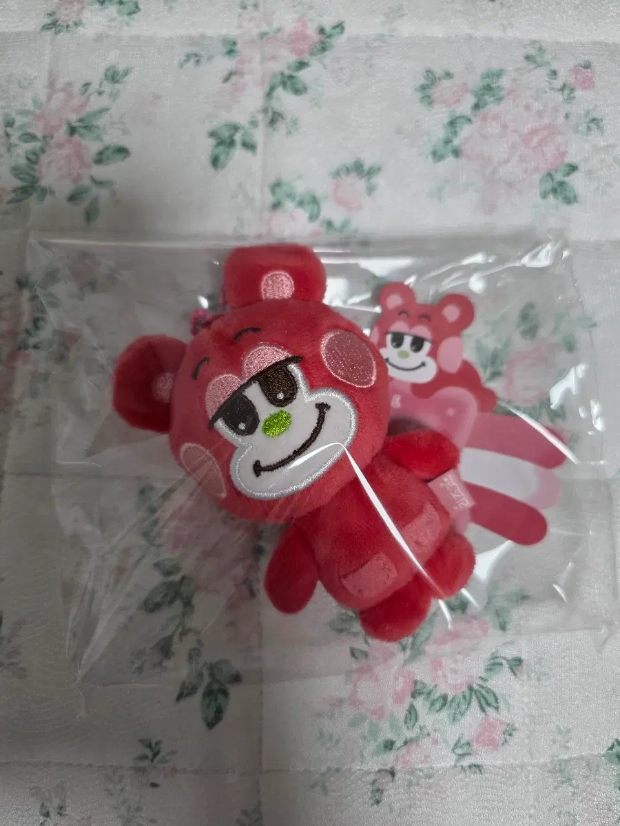 쇼타로 리즈코 8cm RIIZE 라이즈