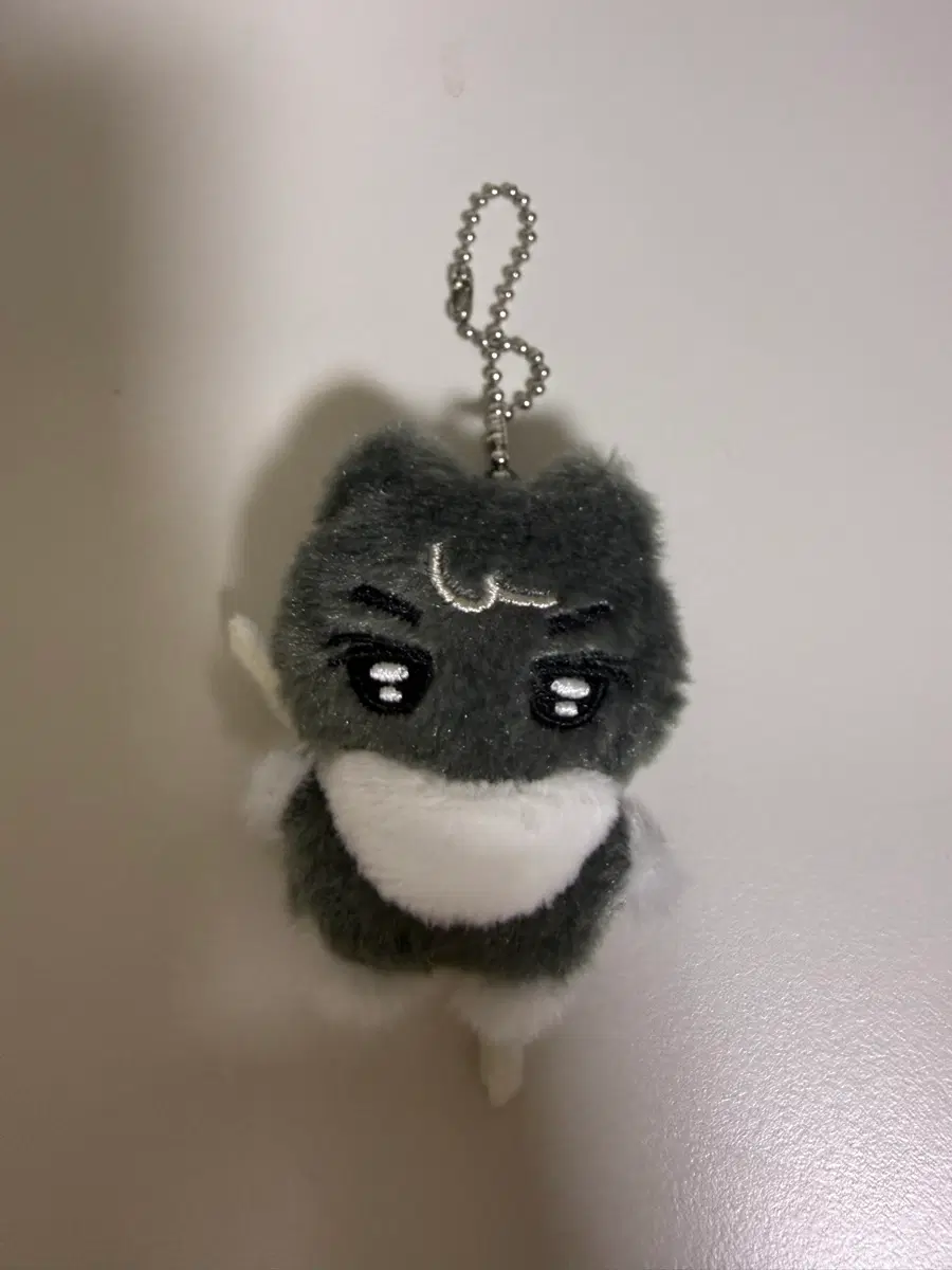 엔하이픈 제이 인형