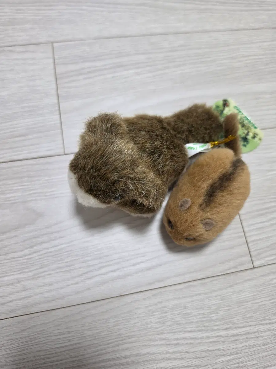 빈티지 다람쥐 인형 일괄