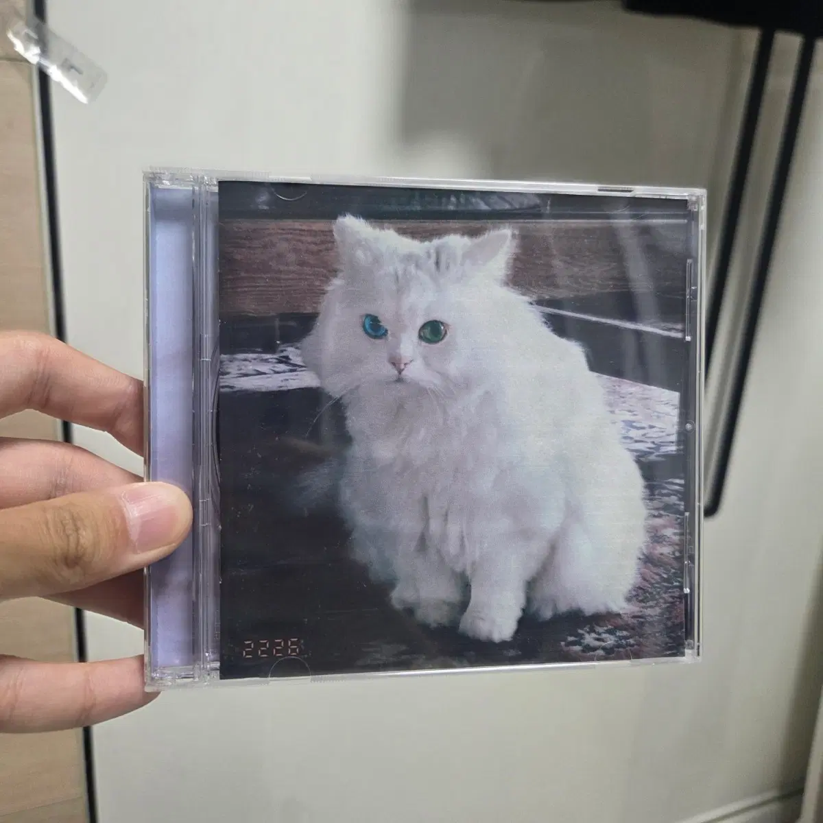 세우 인 윤훼이 2226