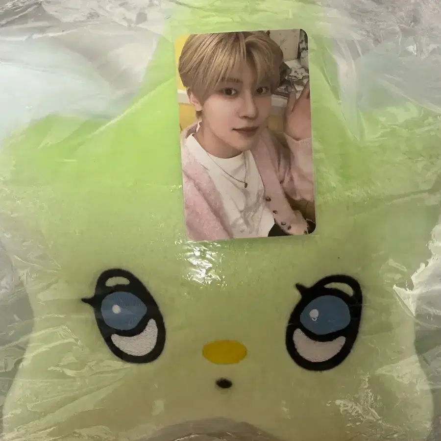위츄 쿠션