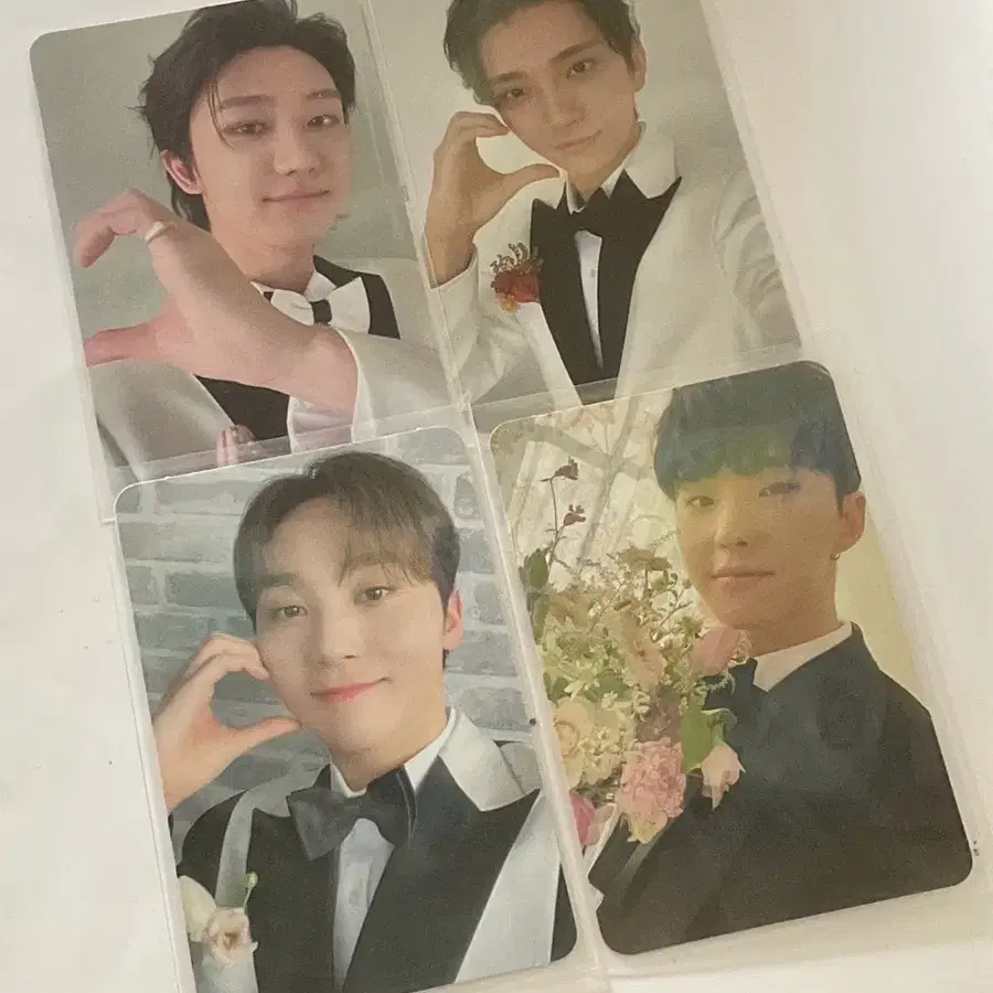 세븐틴 캐럿반 포카