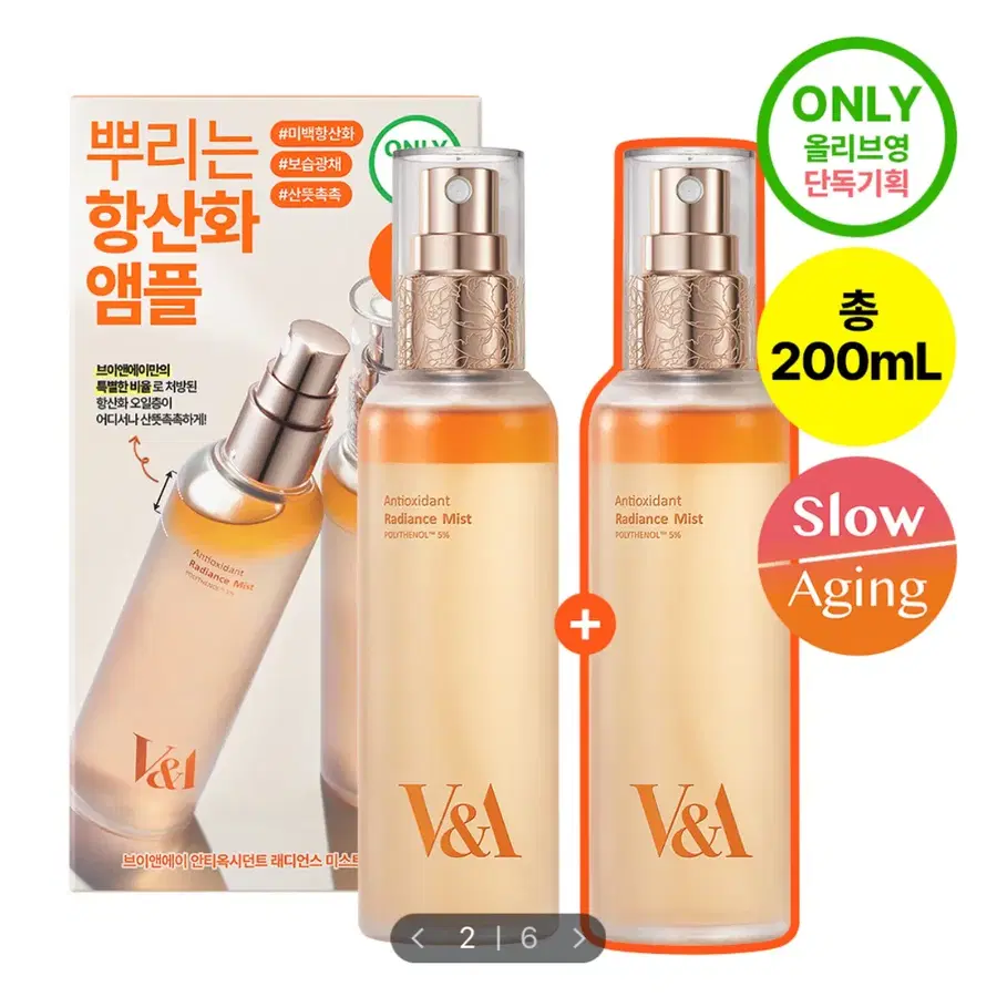 브이앤에이뷰티 안티옥시던트 래디언스 미스트100mL