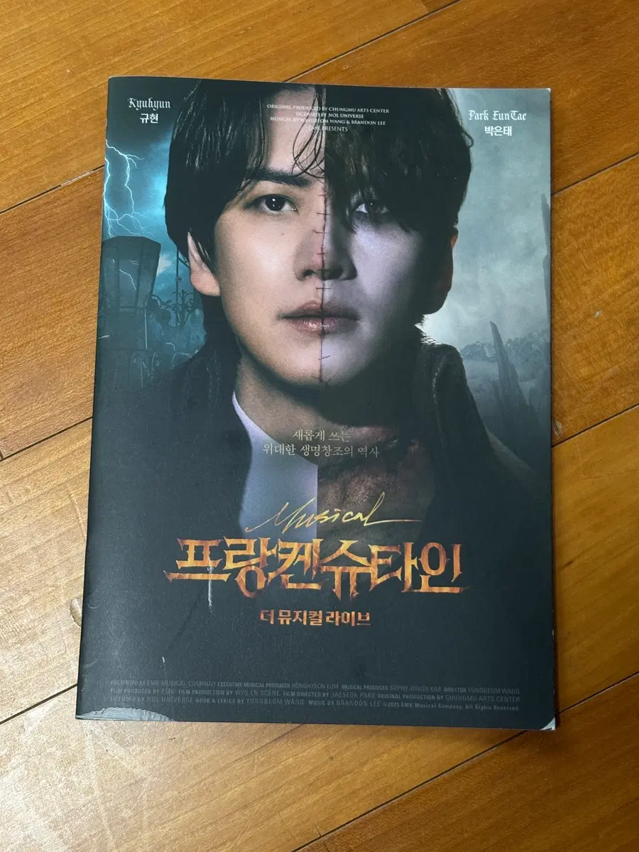 프랑켄슈타인 더 뮤지컬 라이브 미니 플북
