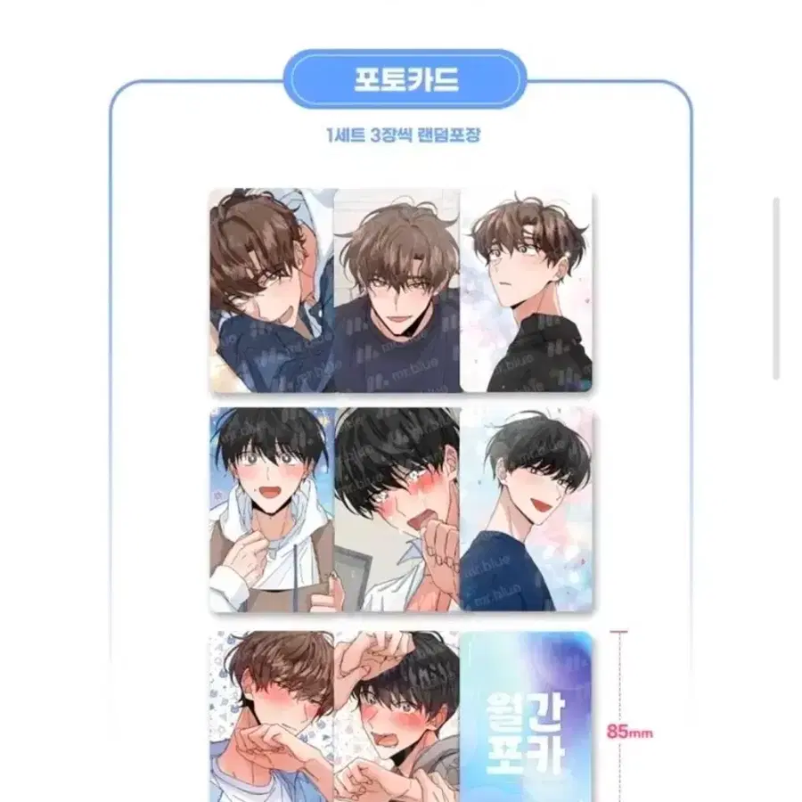 미블 월간포카 신혼부부특별전형 신특 풀셋 드볼 세트