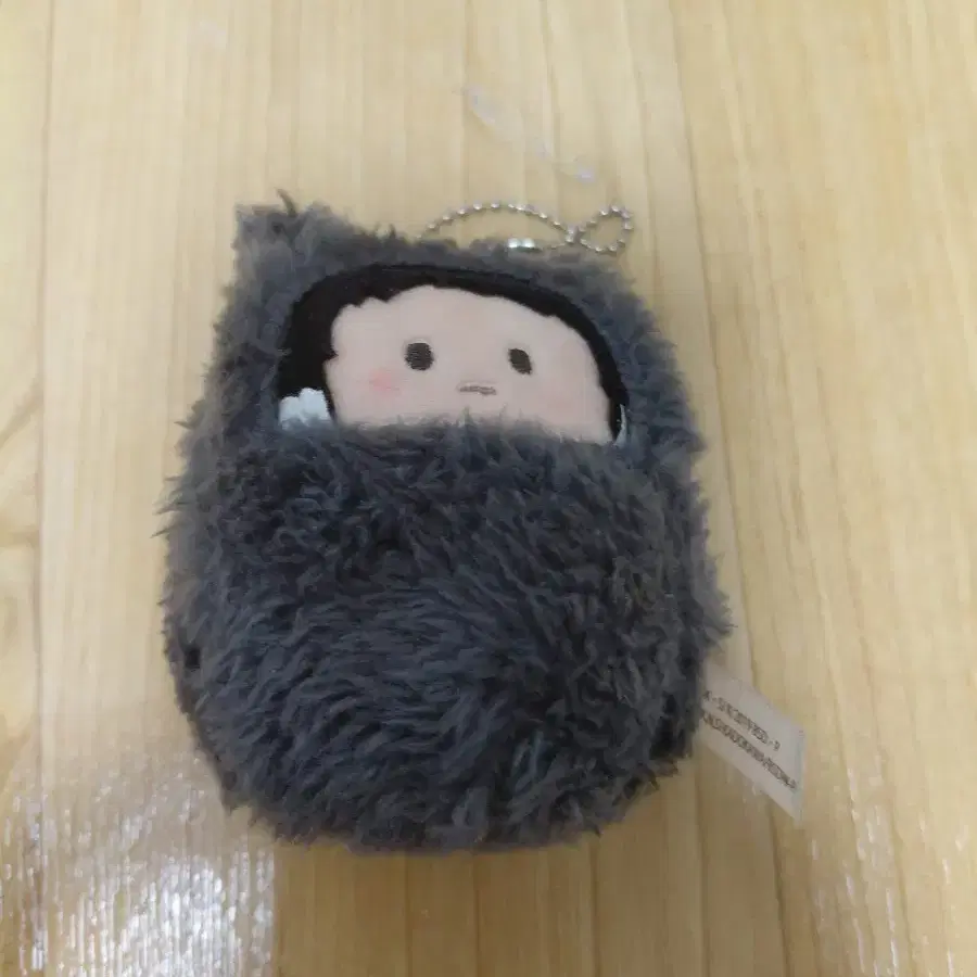 문스독 아쿠타가와 고양이 타피누이