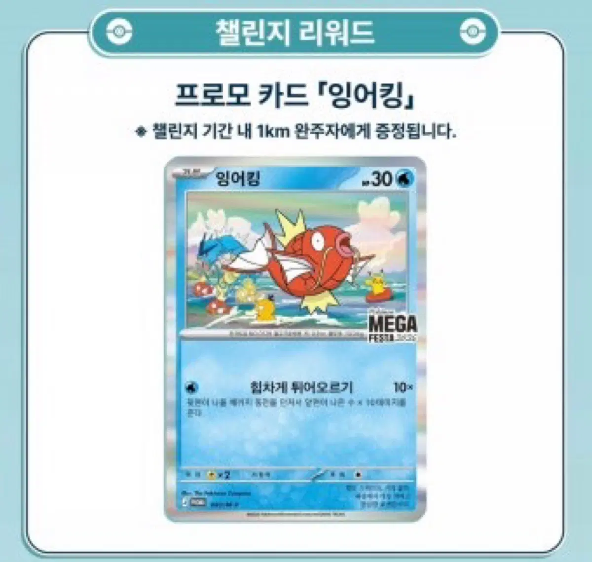 잉어킹 프로모카드
