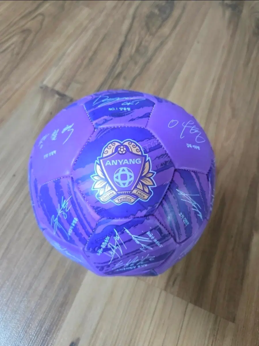 22시즌 FC안양 축구공 싸인볼