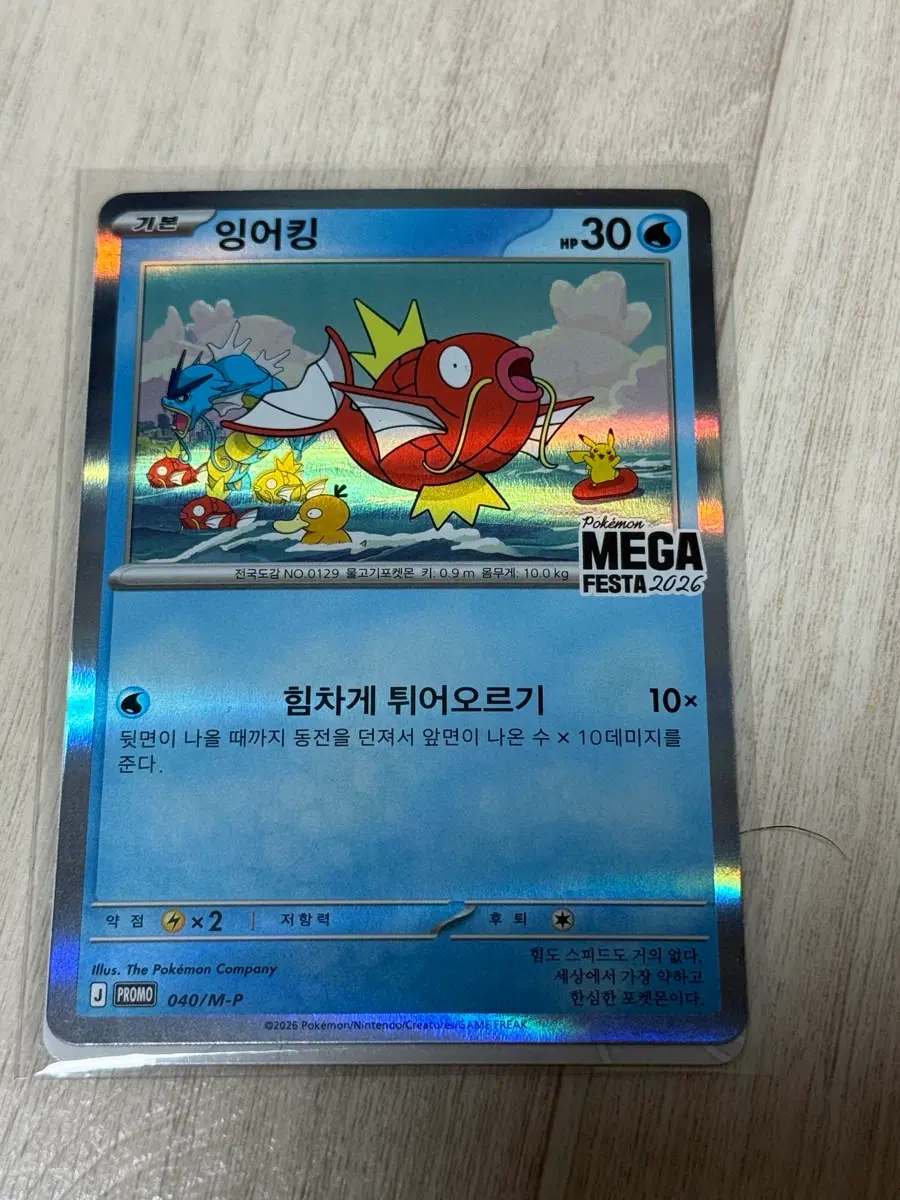 잉어킹 프로모 개봉