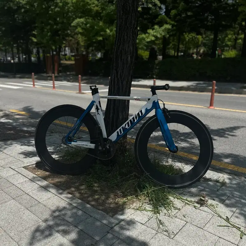 언노운 샤크