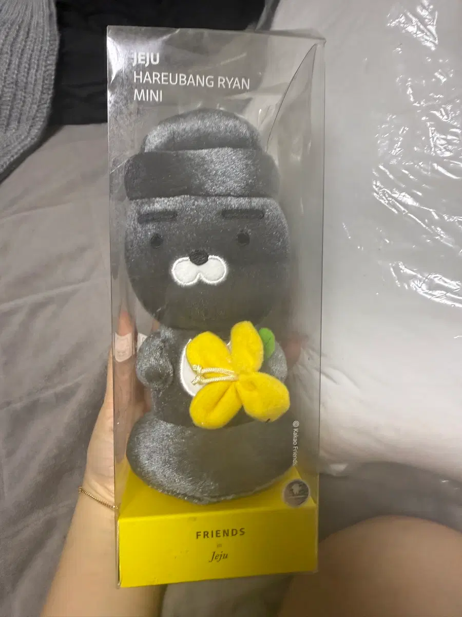 제주 라이언,익명이 인형 판매합니다(익명이 판완)