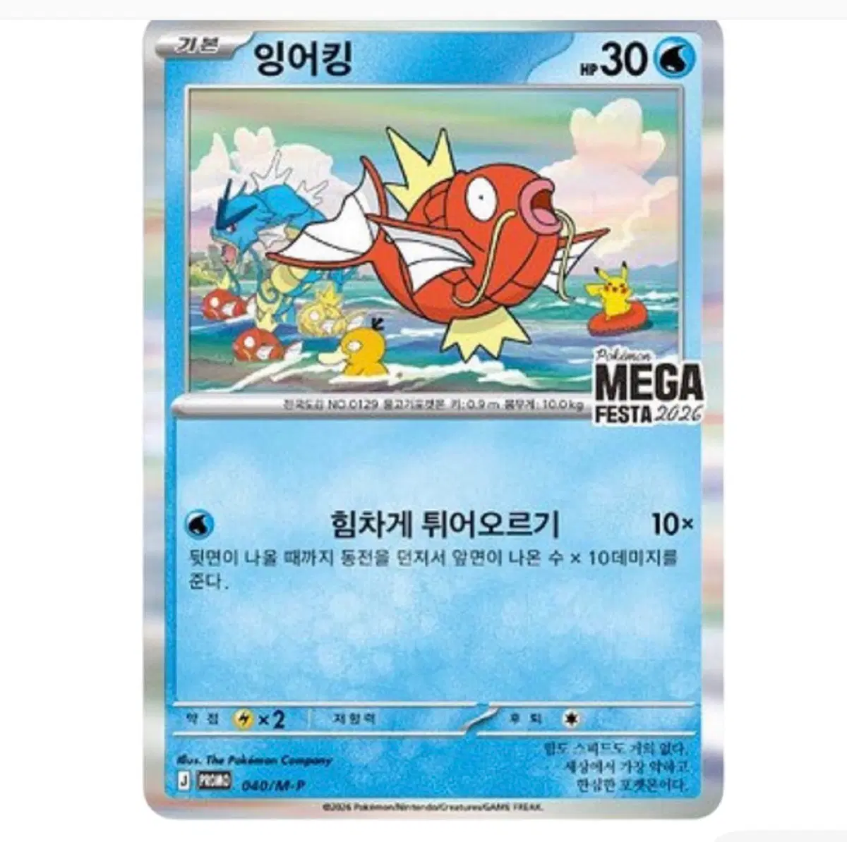 포켓몬 카드 TCG 메가페스타 2026 프로모 잉어킹