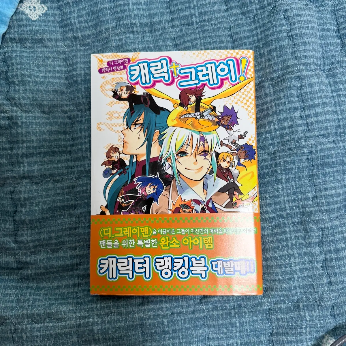 디.그레이맨 캐릭터 랭킹북