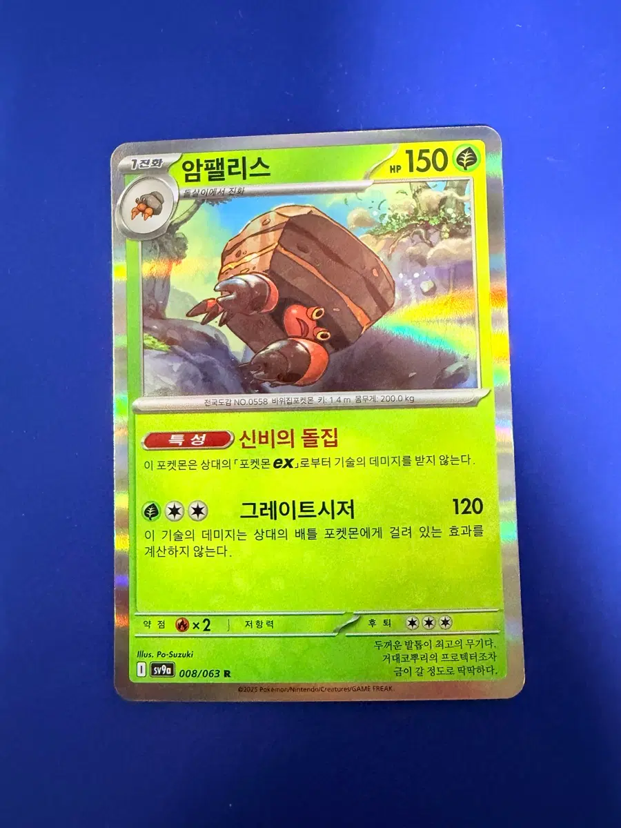 포켓몬카드 암팰리스 홀로 카드
