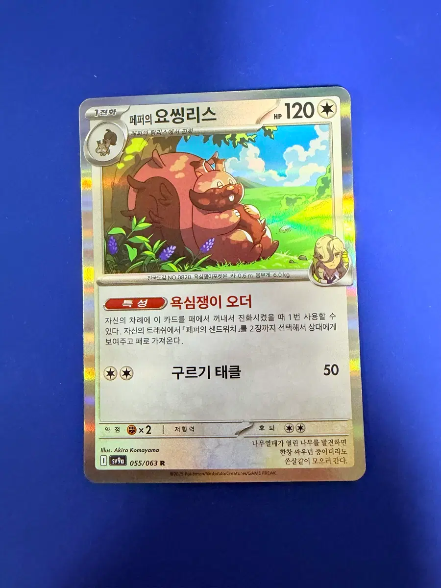 포켓몬카드 요씽리스 홀로 카드