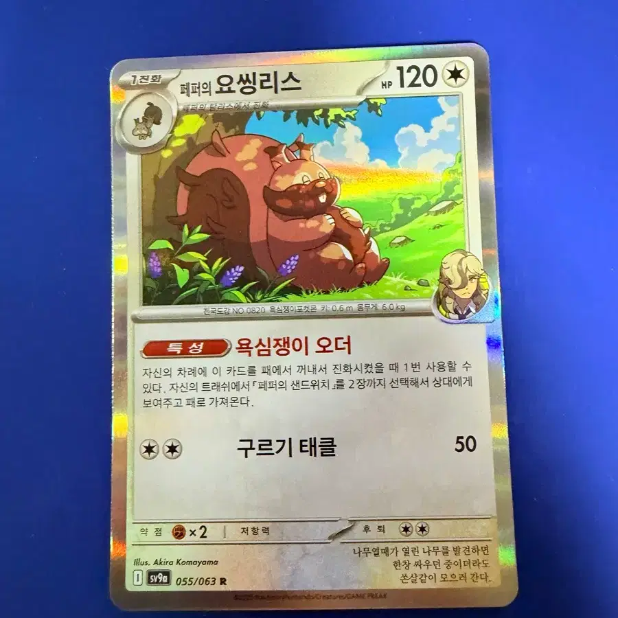 포켓몬카드 요씽리스 홀로 카드