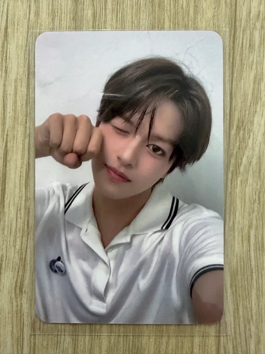 베이온 테루 일일팬매 공방포카 공방 포카 vayonn
