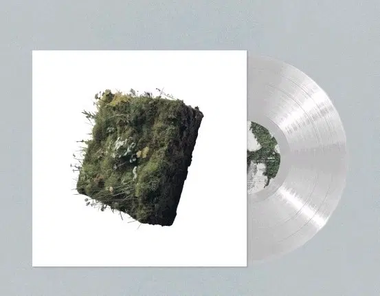 LP Confined White (컨파인드 화이트)