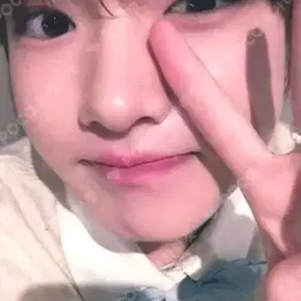 poppop kms 사쿠야 판매합니다
